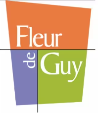 Fleuriste Fleur de Guy