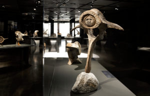 crédit : Laura Dumitriu – Musée McCord Stewart