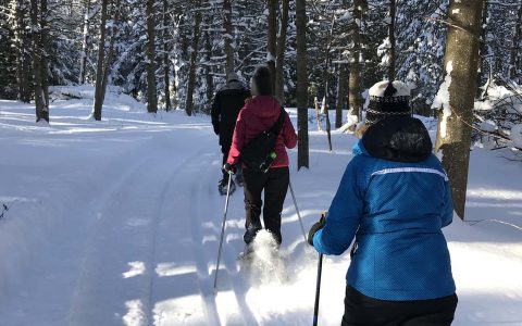 Cross-country skiing and/or snowshoeing Outing