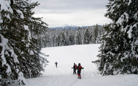 Sorties hivernales en plein air