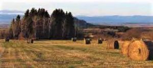 PROGRAMMATION AUTOMNE 2019 PROGRAMMATION AUTOMNE 2019