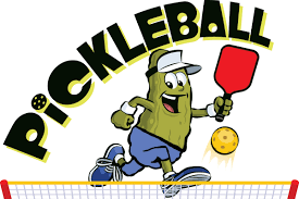 Pickleball libre intérieur Pickleball libre intérieur