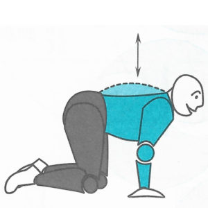 Exercice pour le dos