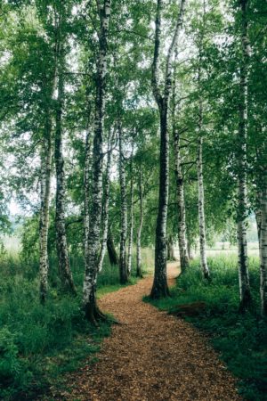 Parc Bernard-Landry