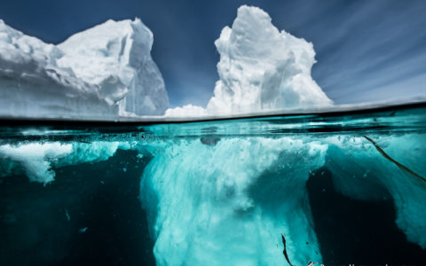 Les Aventuriers Voyageurs : Immersion Arctique - passage du Nord-Ouest - COMPLET
