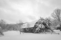 Lucie Pellerin - Paysage hivernal