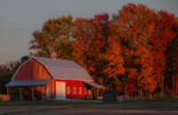 Galerie photos - Automne 2022