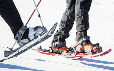 Randonnées en raquette et en ski de fond