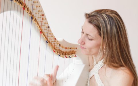 Croisière à la harpe