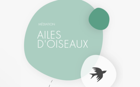 Projet de danse Ailes d'oiseaux : personnes de 50 ans recherchées
