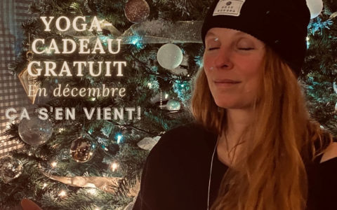 Mélie Caron Yoga & Méditation