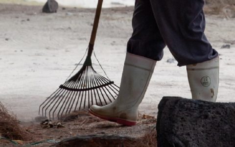 Grand ramassage du printemps : 24 avril 2023