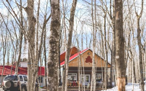 Randonnée pédestre et dîner à la cabane à sucre