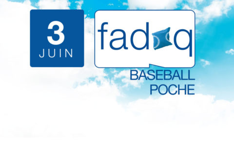 Baseball poche