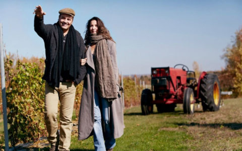 Vignoble Pelchat Lemaître-Auger