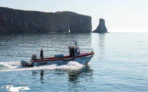 Dans les coulisses de la pêche au homard de la Gaspésie