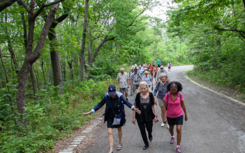 Marche sportive