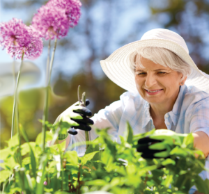 Gardening