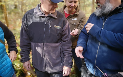 Randonnée et cueillette de truffes (champignons)