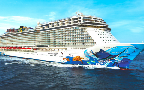 Soirée d'information - programmation de croisières