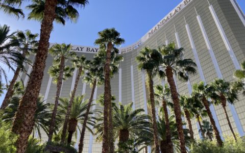 Voyage en images : Viva Las Vegas!