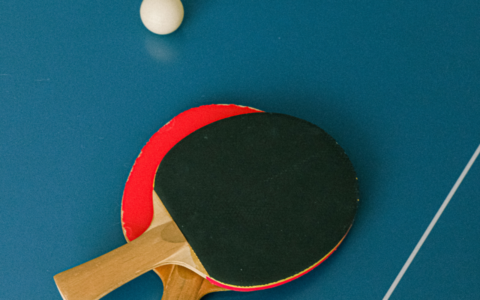 Tennis de table