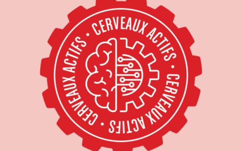Cerveaux actifs 2