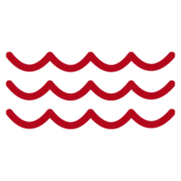 Natation