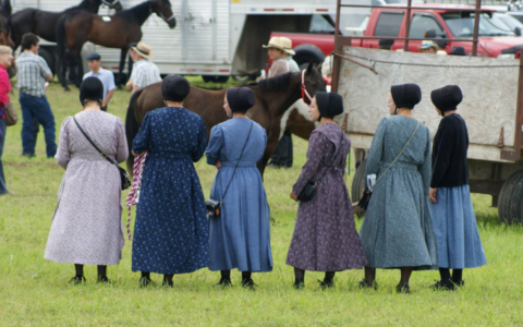 Ontario Mennonites (GVQ)