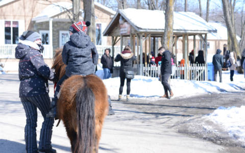 Cabane à sucre D'Amours