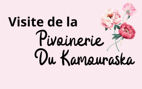 Visite de la Pivoinerie du Kamouraska