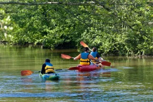 Journée Kayak à la rivière Saint-Charles Journée Kayak à la rivière Saint-Charles