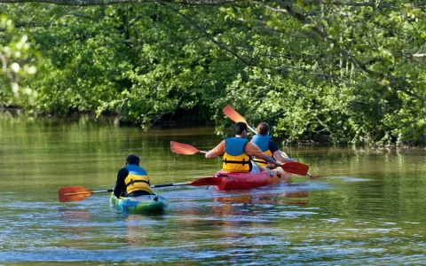 Journée Kayak à la rivière Saint-Charles