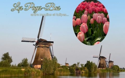 Voyage aux Pays-Bas - Avril 2027
