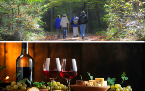 Randonnée dans les sentiers du Mont Marcil suivi d’un 5 à 7 accords mets et vins au Vignoble Saint-Gabriel
