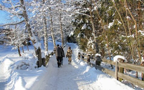 Randonnée et découvertes