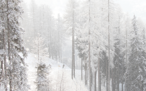 Programmation | Hiver 2026