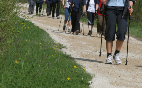 Activité de marche nordique - Été 2026