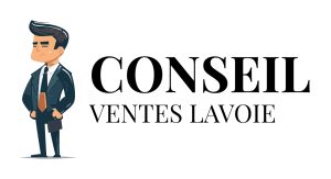 Conseil Ventes Lavoie – IT support