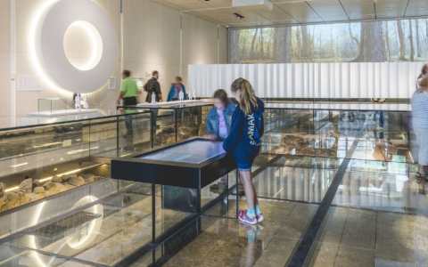 Virée culturelle dans le Vieux Montréal