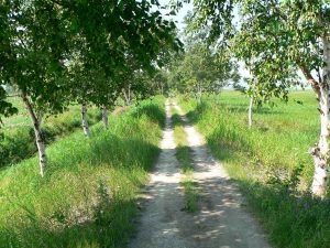 Randonnée pédestre Sentier des Aboiteaux au Kamouraska