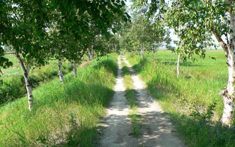 Randonnée pédestre Sentier des Aboiteaux au Kamouraska