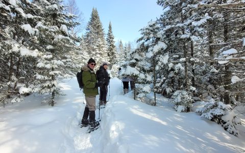 Retour sur les sorties hivernales (Jeux d'hiver | FADOQ 50+)