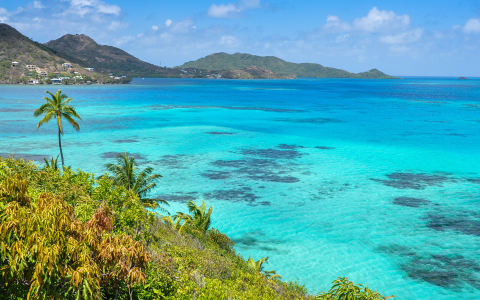 Croisière dans les Caraïbes de l'Ouest