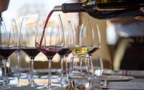 Initiation à la dégustation de vin | Printemps 2026