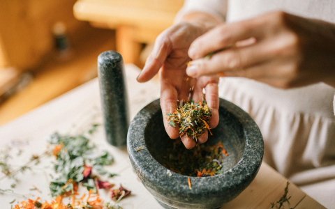 Atelier de transformation des plantes médicinales