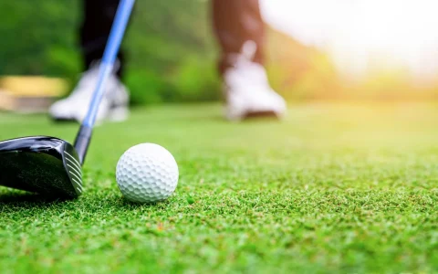 Ligue de golf Tecumseh