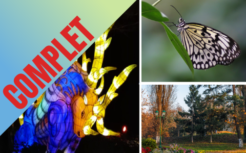 Les jardins de lumières du Jardin botanique