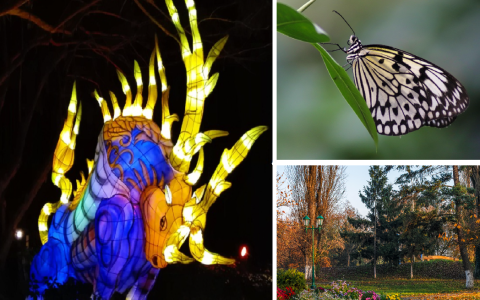 Les jardins de lumières du Jardin botanique