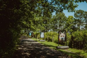 Marche aux couleurs d’automne FADOQ-RQCA